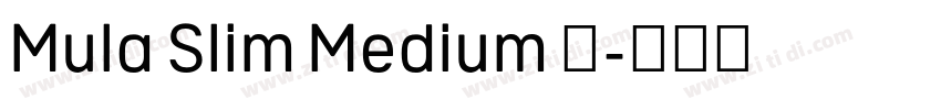 Mula Slim Medium 中字体转换